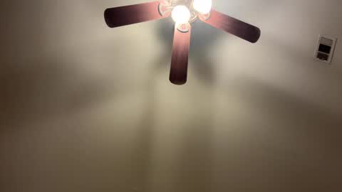 Snapshot of thesheezy12 chatting on February 12, 2025, 5:15 am thesheezy12 online show from February 12, 2025, 5:15 am