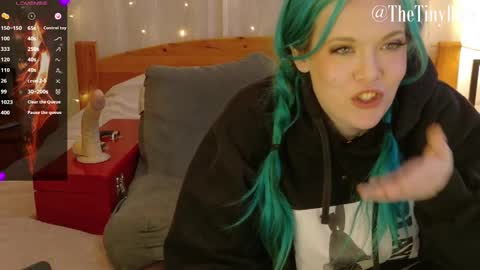 Snapshot of thetinyblue chatting on February 28, 2025, 9:12 pm Tiny Blue online show from February 28, 2025, 9:12 pm