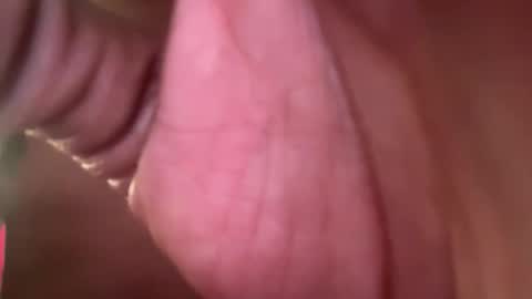 thetwomaskedbandits online show from April 7, 2026, 10:42 pm