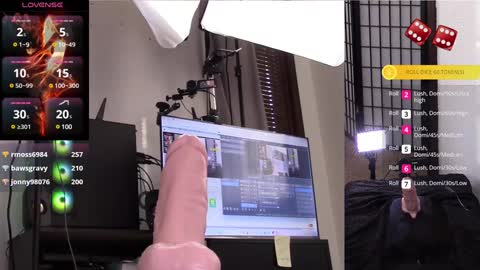 Snapshot of thewillowfox chatting on January 28, 2025, 9:08 pm The Willow Fox online show from January 28, 2025, 9:08 pm