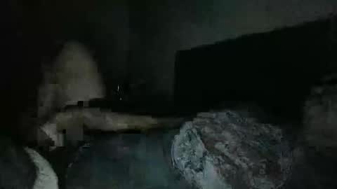 Snapshot of thisguyjake88 chatting on March 8, 2026, 7:45 am thisguyjake88 online show from March 8, 2026, 7:45 am