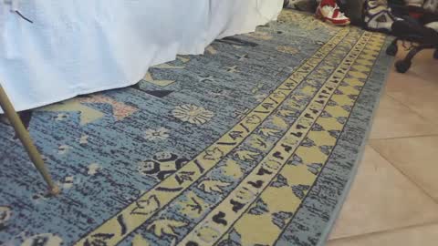 ThongMuscle online show from February 27, 2025, 1:49 pm