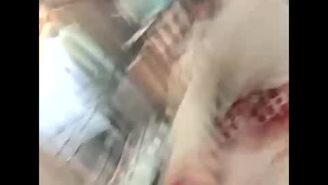 thunder8u42 online show from October 10, 2025, 12:37 pm