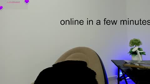 carolina online show from August 2, 2026, 10:03 am