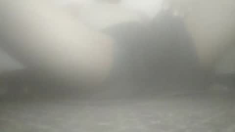 Snapshot of tiger005588 chatting on November 21, 2025, 9:08 am tiger005588 online show from November 21, 2025, 9:08 am