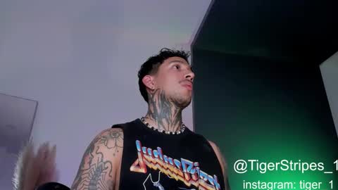 Snapshot of tigerstripes_ chatting on February 1, 2025, 2:47 am Chris online show from February 1, 2025, 2:47 am