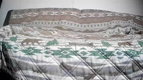 Casey online show from December 13, 2024, 2:49 pm