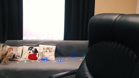 Luisa online show from November 14, 2025, 8:46 am