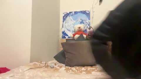 Wizard online show from December 8, 2024, 7:00 pm