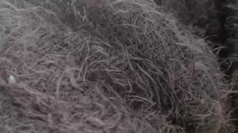 Snapshot of tinyslut66 chatting on March 30, 2026, 9:43 am tinyslut66 online show from March 30, 2026, 9:43 am