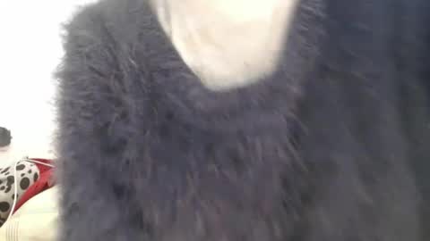 Snapshot of tinyslut66 chatting on April 7, 2026, 9:54 am tinyslut66 online show from April 7, 2026, 9:54 am