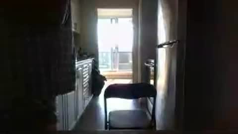 tj526316275 online show from July 13, 2026, 9:17 pm