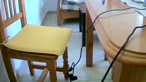 Tobiko online show from December 31, 2024, 12:25 pm