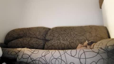 ToffBuck online show from February 9, 2026, 4:49 am