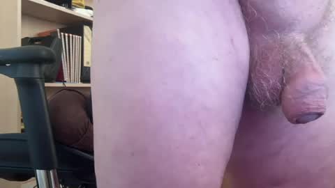 Togbear online show from July 28, 2026, 7:59 am