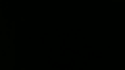 Snapshot of tomandjudy chatting on November 16, 2025, 9:20 pm Bear and Chaw online show from November 16, 2025, 9:20 pm