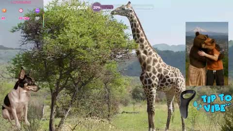 Snapshot of tomaz62a chatting on October 30, 2025, 8:42 pm Tomaz62a online show from October 30, 2025, 8:42 pm