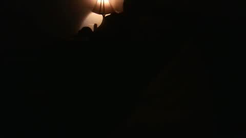 tommy44450243 online show from April 26, 2026, 8:50 pm