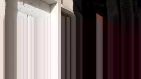 tonguefuckingyourass online show from October 30, 2025, 9:44 am