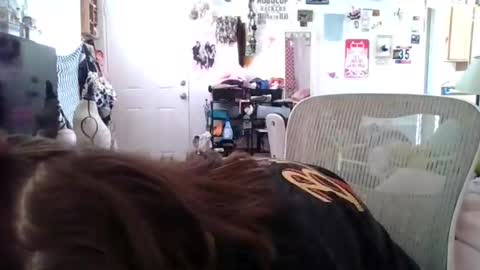 Tonka Wilde online show from February 19, 2026, 5:20 pm