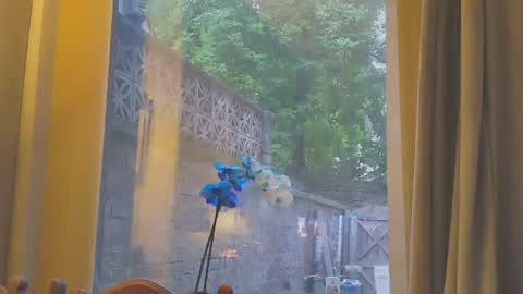 toohorny3210 online show from June 16, 2026, 8:11 pm