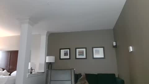 Snapshot of toomuchsmoke chatting on February 6, 2025, 12:22 am toomuchsmoke online show from February 6, 2025, 12:22 am