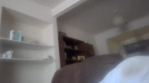 topfoxs30 online show from November 12, 2025, 1:33 pm