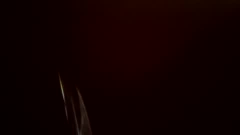 Snapshot of toronto5656 chatting on February 24, 2025, 11:54 am toronto5656 online show from February 24, 2025, 11:54 am