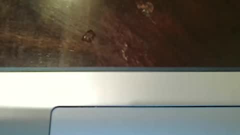 Snapshot of totxxx335 chatting on December 15, 2025, 8:57 pm totxxx335 online show from December 15, 2025, 8:57 pm