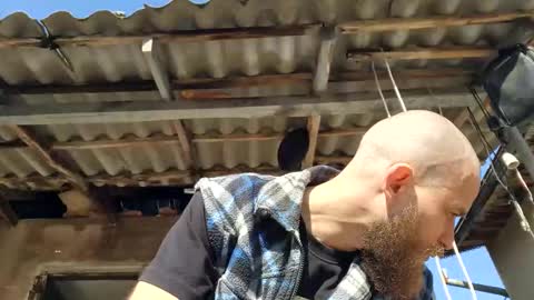 Snapshot of tralalabala chatting on March 3, 2026, 11:49 am Tralalabala online show from March 3, 2026, 11:49 am