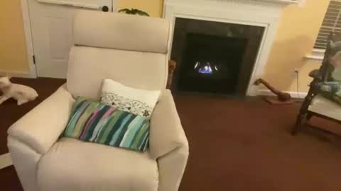 Snapshot of trannytush69 chatting on January 11, 2025, 3:55 am USA GURL online show from January 11, 2025, 3:55 am