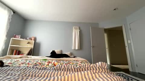 transgirl007 online show from May 30, 2026, 9:12 pm
