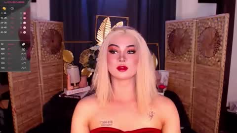 transsitips online show from May 3, 2026, 1:06 pm