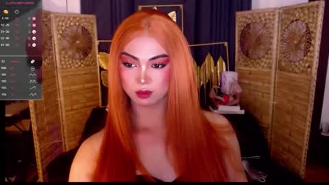 transsitips online show from May 19, 2026, 6:58 pm