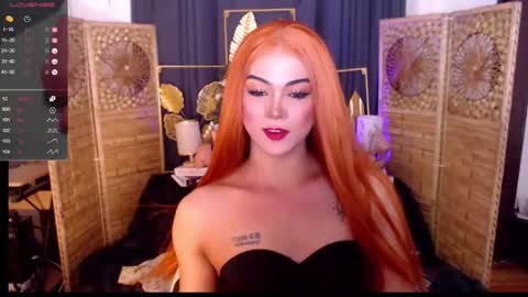 transsitips online show from May 21, 2026, 4:41 am