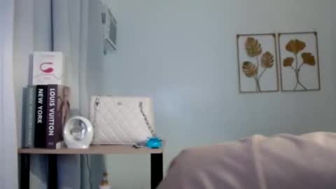 Snapshot of travelergirl chatting on February 22, 2026, 3:10 pm travelergirl online show from February 22, 2026, 3:10 pm