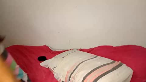 Snapshot of travisacal chatting on November 18, 2025, 4:55 pm Ameli online show from November 18, 2025, 4:55 pm