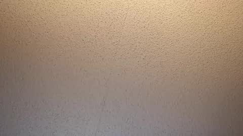 Snapshot of treedude303720 chatting on October 16, 2025, 9:43 am treedude303720 online show from October 16, 2025, 9:43 am