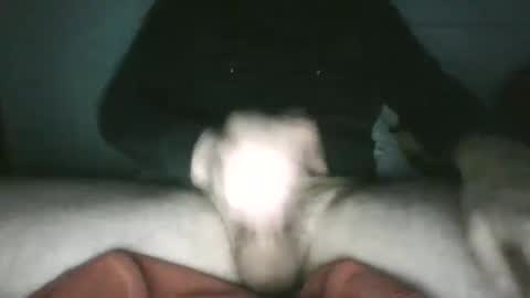 trekkertje666 online show from January 25, 2025, 8:00 am