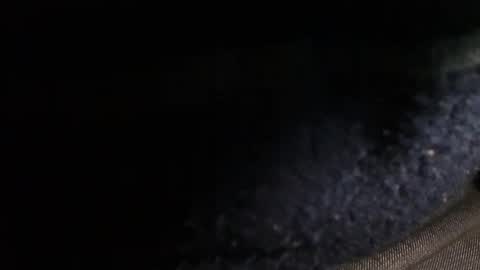 Snapshot of trobelle chatting on December 20, 2024, 2:49 pm trobelle online show from December 20, 2024, 2:49 pm