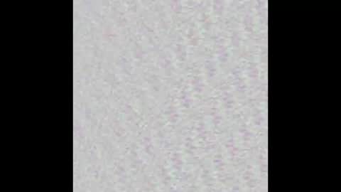 Snapshot of tropicalmadness chatting on September 30, 2025, 2:00 pm Archie Torres online show from September 30, 2025, 2:00 pm