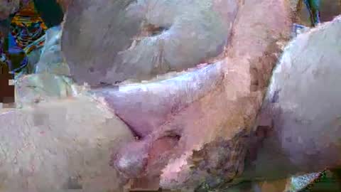 troy1965 online show from January 6, 2025, 4:47 am