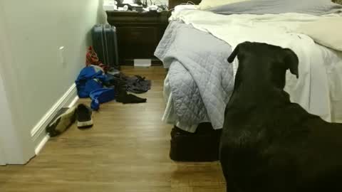 troy1965 online show from September 29, 2025, 4:39 am