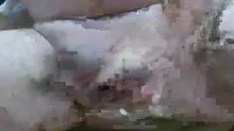 troy1965 online show from February 11, 2026, 6:07 am