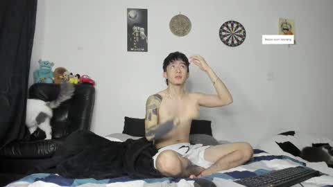 Troy online show from February 3, 2026, 11:04 am