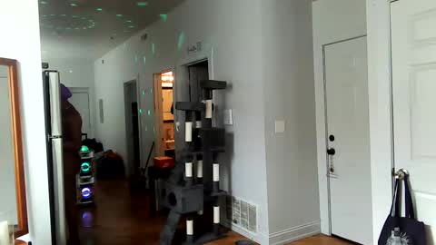 Amber White online show from February 2, 2025, 7:46 pm