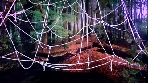 Snapshot of tsblondienyc chatting on October 28, 2025, 8:00 pm Jessie online show from October 28, 2025, 8:00 pm