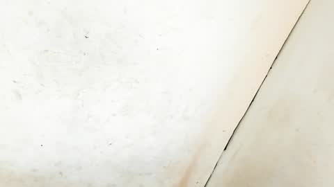 Snapshot of tsmanika chatting on January 11, 2025, 6:35 am MA NI KA online show from January 11, 2025, 6:35 am