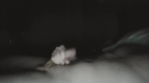 tucker 28 m online show from March 23, 2026, 1:31 am