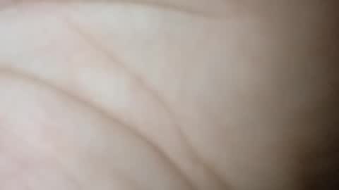 twest84 online show from October 28, 2025, 8:18 am